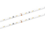 American Lighting STL-UWW 16.4 Ft. Standard Grade LED Tape Light, 24V, IP54, 2700K